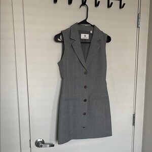 Aritzia Babaton Gray Mastermind Dress